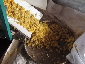 pemipihan jagung