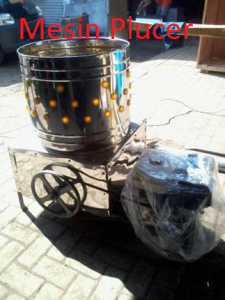 mesin plucer pencabut bulu ayam