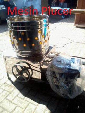 mesin plucer pencabut bulu ayam